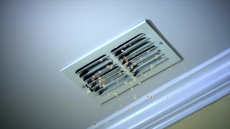 Best Air Duct Mold Removal  in Westwood, CA